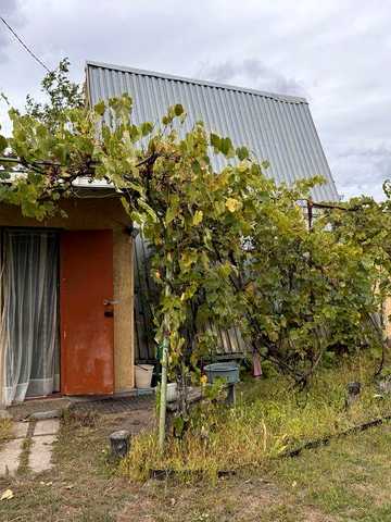 Продам дачну ділянку 6 соток  в с. Ровжі, (кооператив «Патріот»)