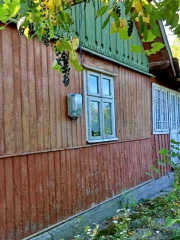 Продам  старий будинок, м Вижниця