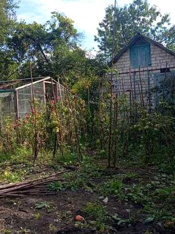 Продам земельну ділянку з будинком (Дача)