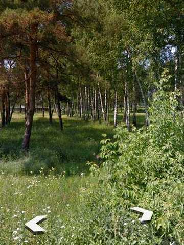 Оренда дачі в Сумах, затишне місце, район Римського Корсака, Хіммістечко, Химик