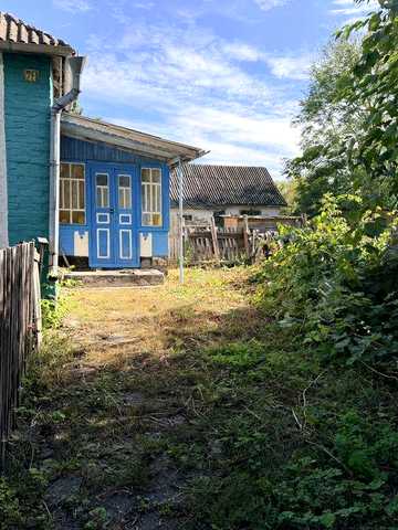 Затишний догляджений будинок 67 м² + 60 соток землі біля водойми (с. Плоске, Білоцерківський р-н, Таращанська МГ)