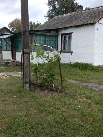 Продам дом Бобровиця