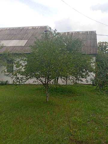 Продам 2 кім квартиру с. Оржів