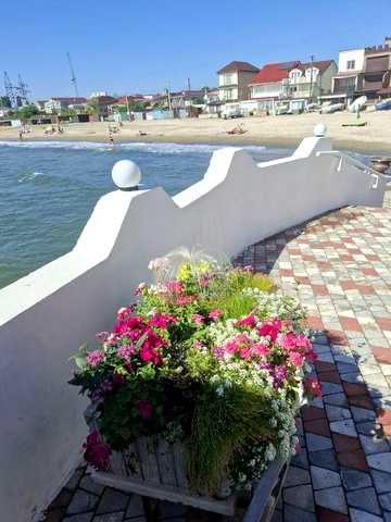 Здам котедж  на березі моря,  з листопада по травень