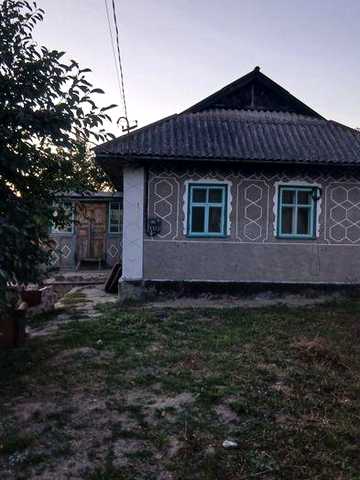 здам будинок на довго тривалий термін