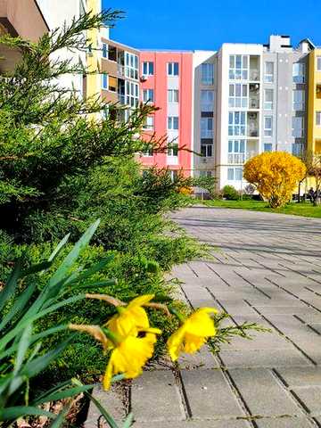 2-кімнатна квартира 43,2 м² у ЖК «Нова Буча» — 1 поверх, газове опалення,  єВідновлення, сертифікат, ваучер, держпрограми ЖК Нова Буча
