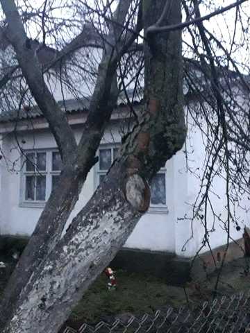 Будинок в селі 120км до Києва 100км до Житомира