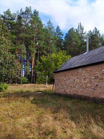 Продам будинок в сосновому лісі, біля річки