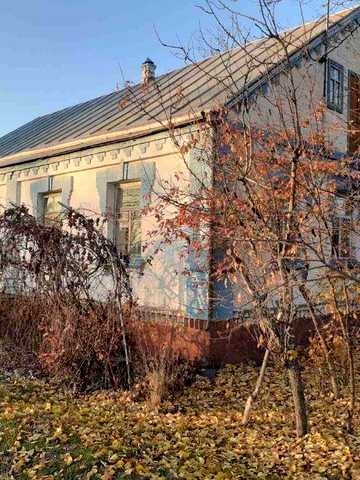 Будинок село Матусів ставок річка та Шпола