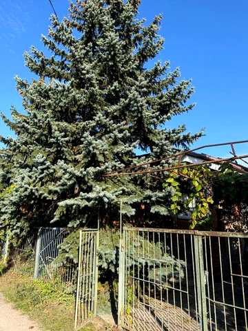 Продам Дом-Дачу в Самаровке Левый-Берег