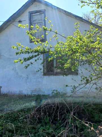 Продам будинок м.Тараща недорого під дачу окраїна  міста  біля самого лісу  великий сад.