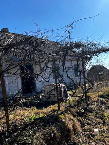Продам будинок з ділянкою