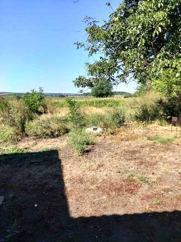 здам відокремлену садибу