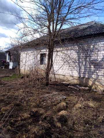Продам будинок в селі Радичів