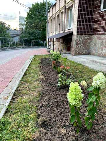 Оренда квартири