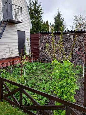 Продам дачу будинок 5 км від центру міста