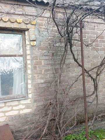 Продається будинок у смт. Софіївка