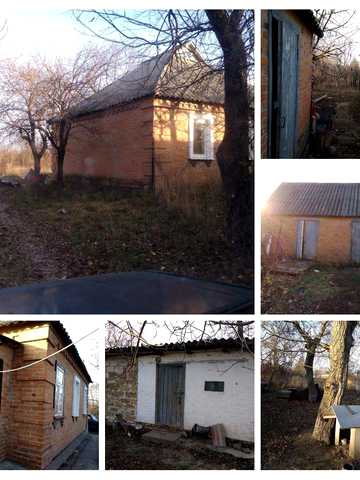None 25000 USD