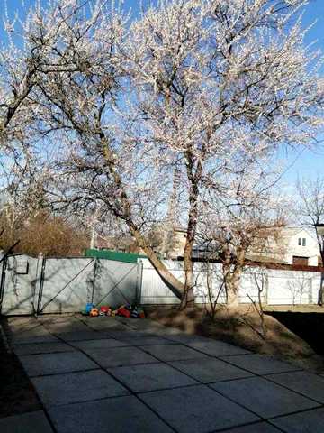 Будинок в селі Мотовилівка, Фастівський район, 45 км до Києва, Газ, вода, ділянка 17 соток