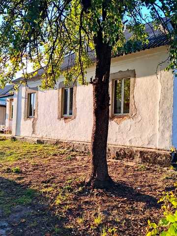 Продам будинок в селі Лука Білоцерківський район