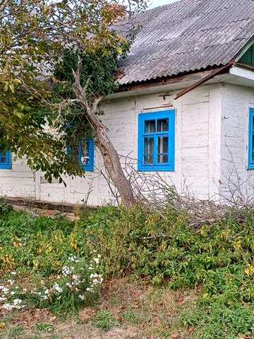 Земельна ділянка з будинком