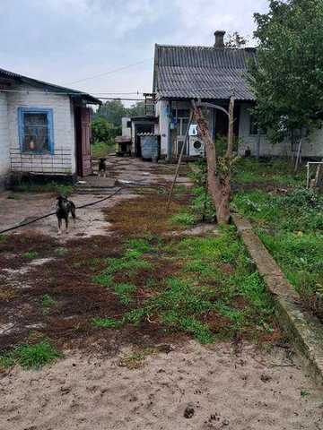 Долгосрочная аренда домов
