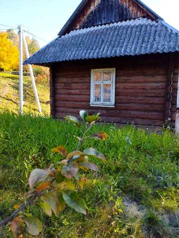 Здам в оренду будинок в Карпатах с.Ямельниця, Львівська область.