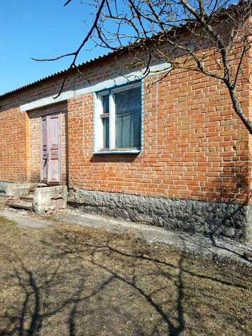 Продам будинок с.Нові Мартиновичі (Полтавська обл.)