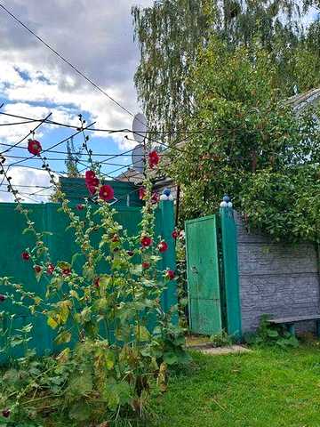 Продаж будинку в селищі Ріпки