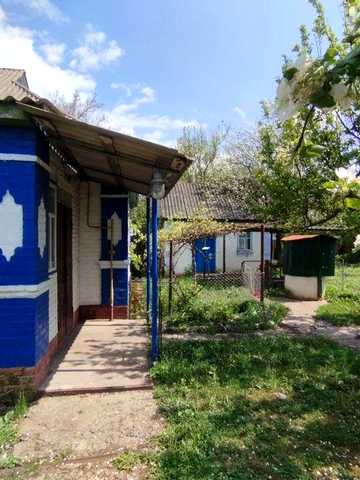 Будинок з господарством і великою ділянкою 35 соток, Гнідинці, Прилуцький район