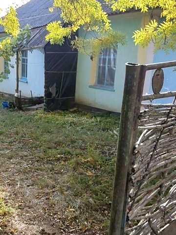 Житло безкоштовно, 20 км від Хмельницького.