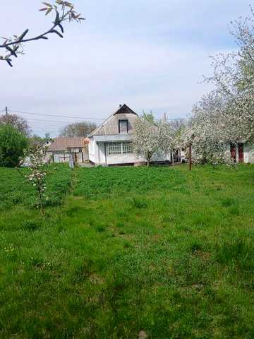 Продаж Будинку  в м. Тараща