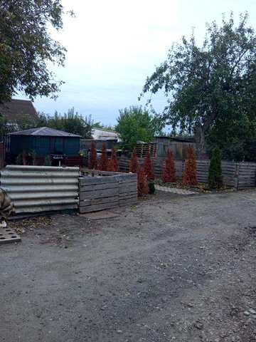 Продам будинок Царедарівка