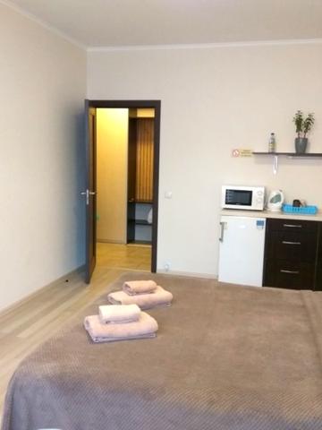 S&amp;M apartments: студио у метро Осокорки