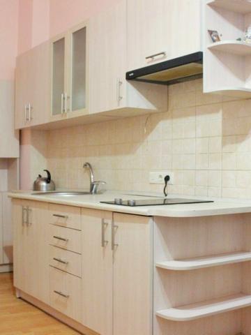 Квартира недалеко от Оперного театра