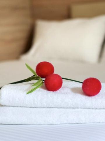 Мини-апартаменты в центре для 2 гостей