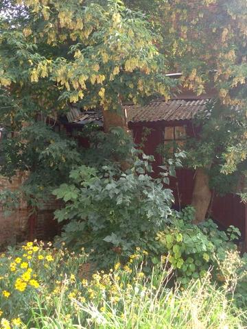 Продажа или обмен квартиры