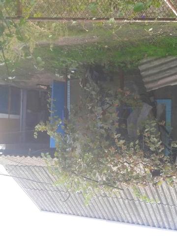 3-к Квартира в Сарате