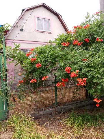 Продам  дом - дачу зимнего типа в с. Визирка