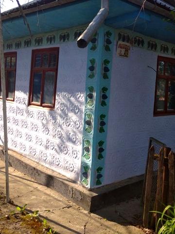 Продам дом с. Надністрянське