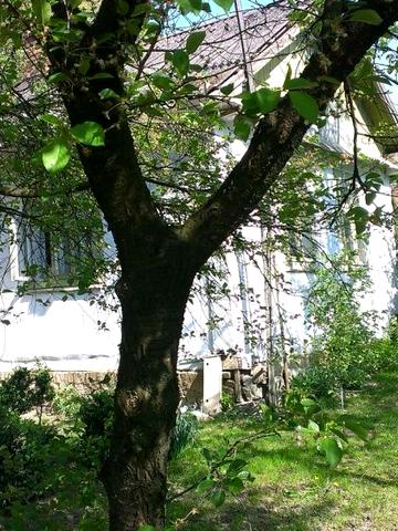 продаж будинок з земельною ділянкою