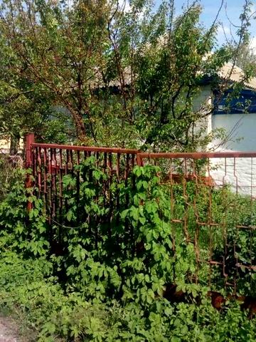 Продається будинок в центрі смт. Чорнобай