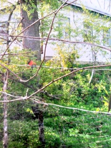 !ТЕРМІНОВО! Продажа будинку с.Ташлик