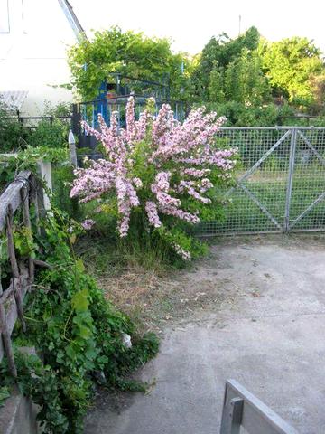 Продам дачу на берегу лимана