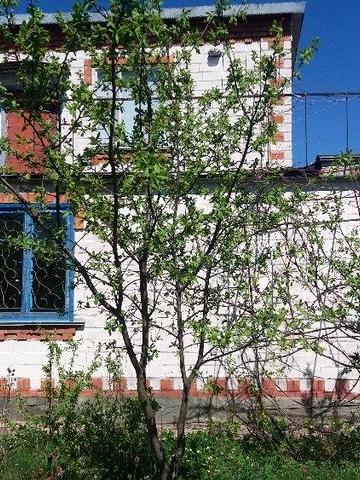 Продам дачу в с Сальник