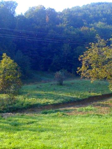 Продается дом, участок, коттедж - город Косов