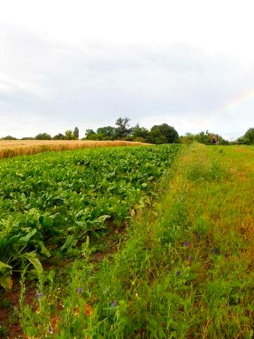 Продам новий Будинок