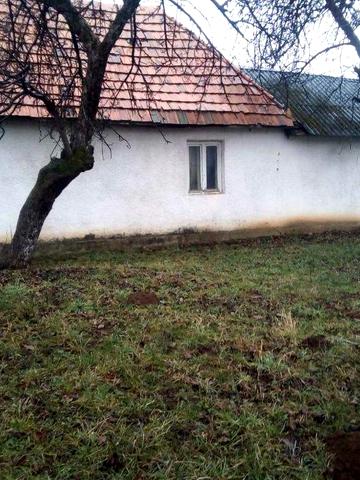 ТЕРМІНОВО! Житловий будинок та 2 зем. ділянки в с. Осій Хустського р-н