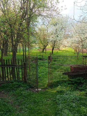 Будинок м. Хирів з ділянкою 0.5 га