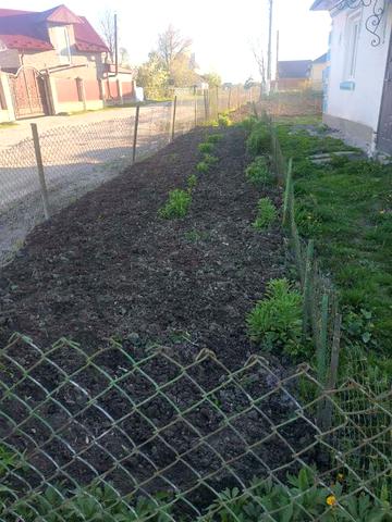 Продам будинок в смт Козлів. (Козівський р-н.,25км.від Тернополя.).